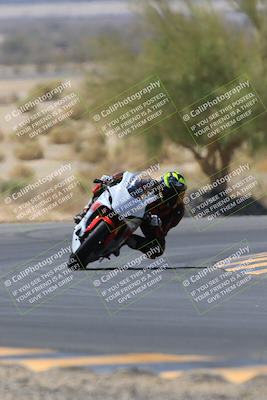 media/May-14-2023-SoCal Trackdays (Sun) [[024eb53b40]]/Turn 5 Tree of Life (1125am)/